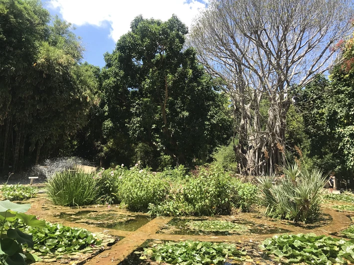 Das Aquarium im Botanischen Garten von Palermo