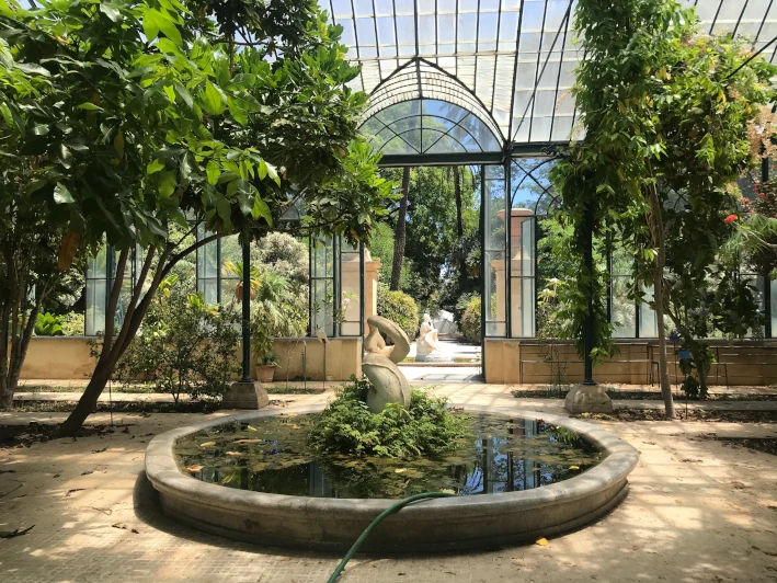 Bild vom Inneren eines Gewächshauses im Botanischen Garten von Palermo