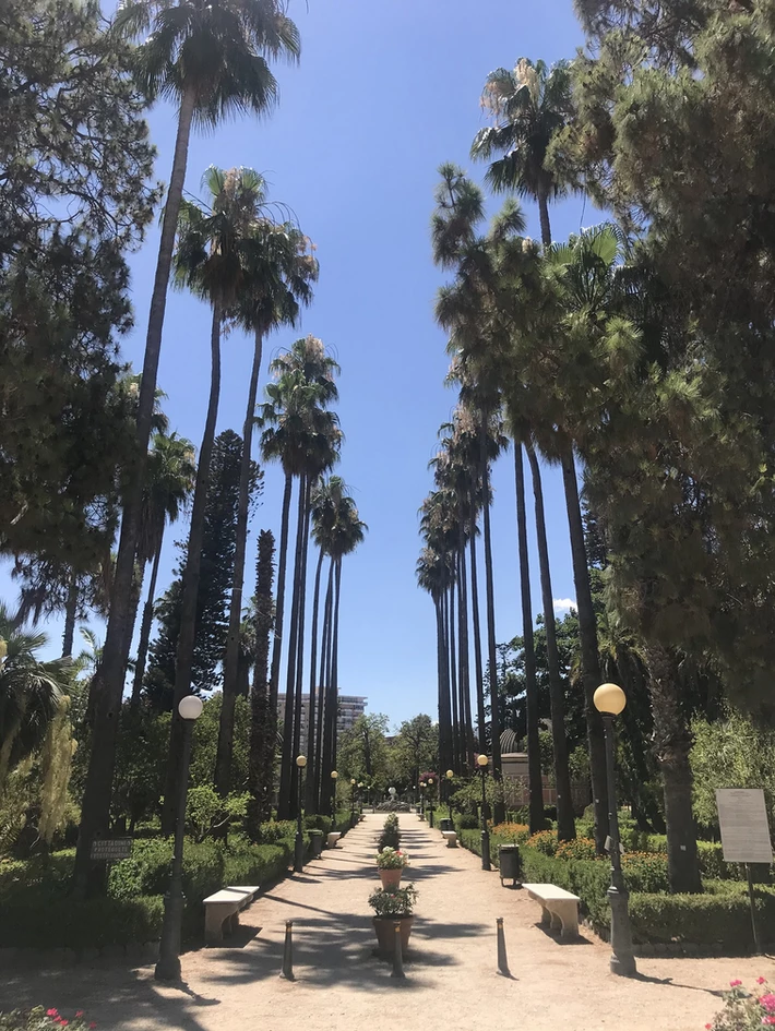 Die Allee am Eingang des Parks der Villa Giulia