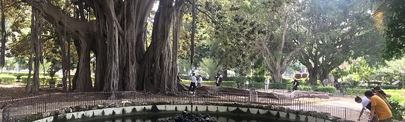 Blick auf den Brunnen imm Park Giardino Garibaldi in Palermo