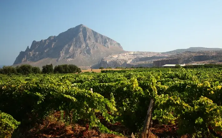 Blick auf ein sizilianisches Weinanbaugebiet
