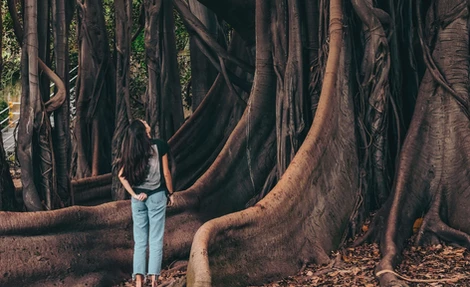 Eine Frau steht unter einem Feigenbaum im Park Giardino Garibaldi