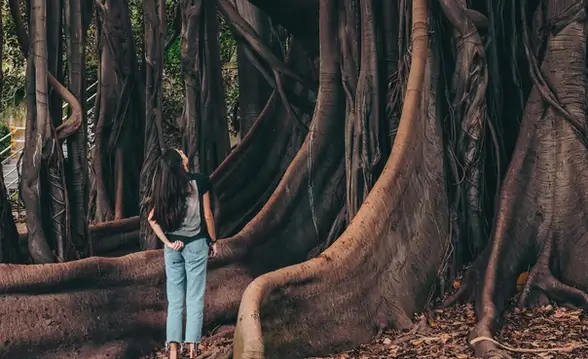 Frau unter Feigenbaum im Giardino Garibaldi in Palermo