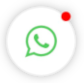 WhatsApp Icon